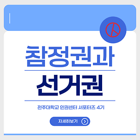 참정권과 선거권